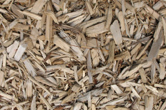 biomass boilers Llanarmon